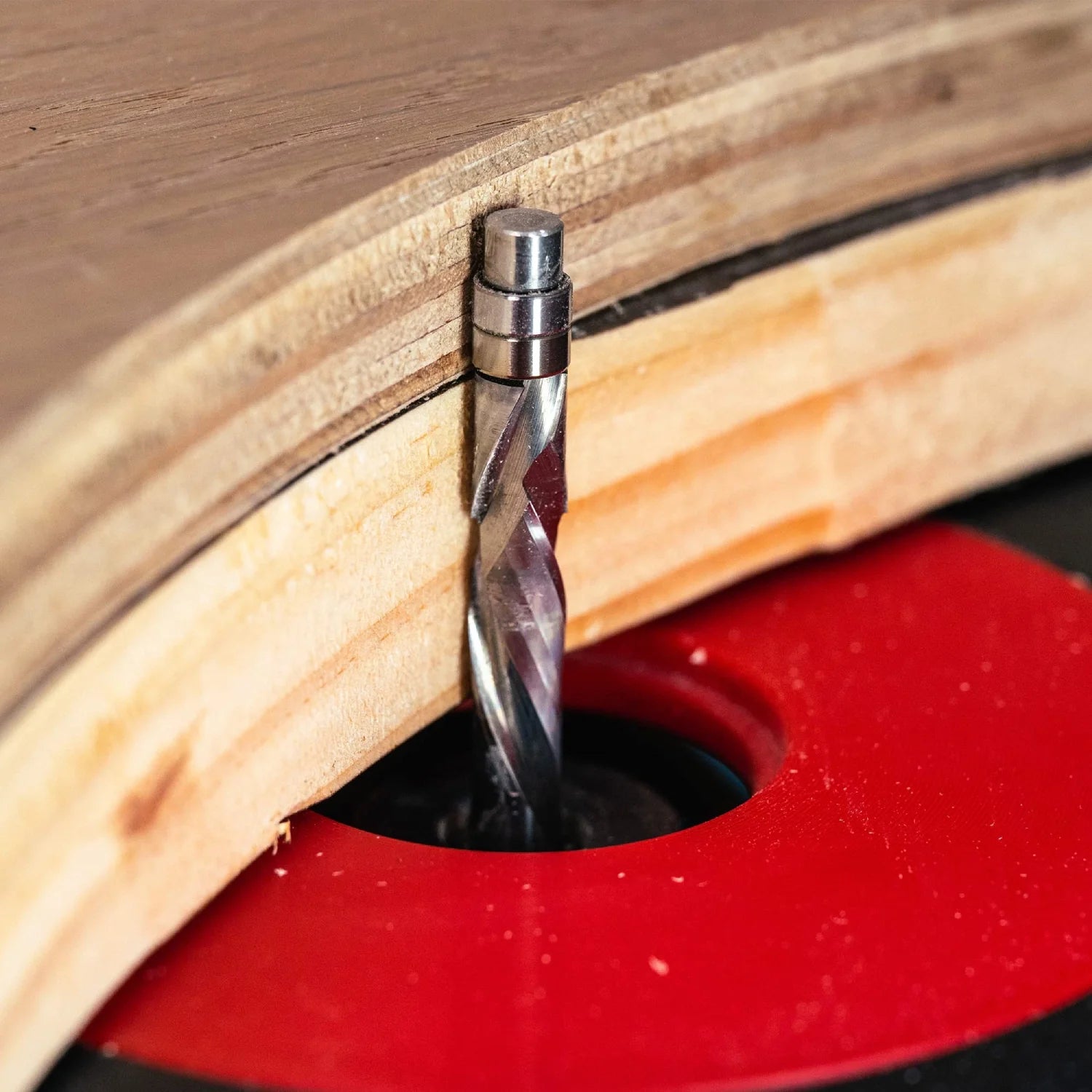 SpeTool SC 3/8 Dia 3.5 Inch Long Compression Flush Trim Router Bit