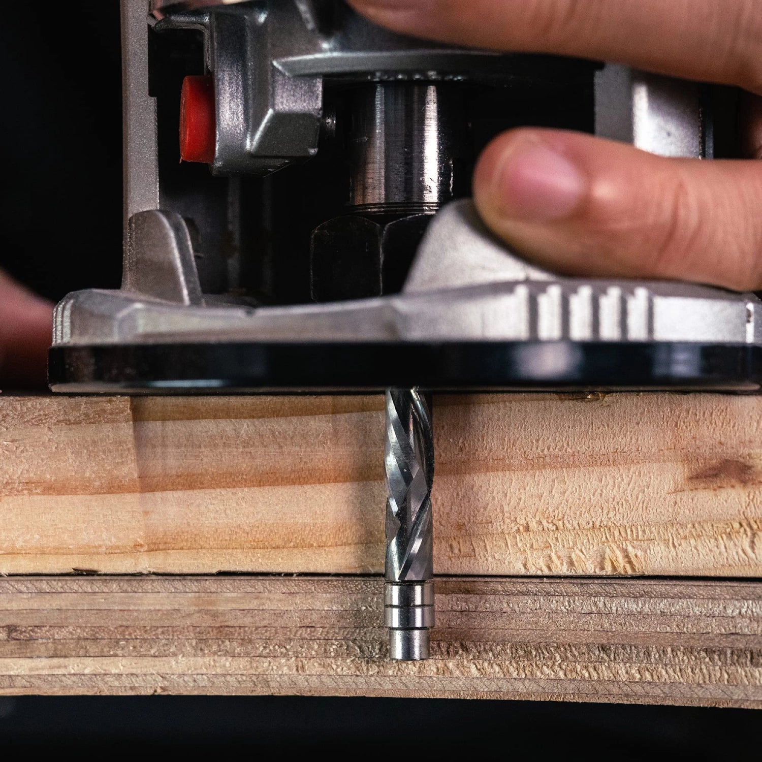 SpeTool SC 3/8 Dia 3.5 Inch Long Compression Flush Trim Router Bit