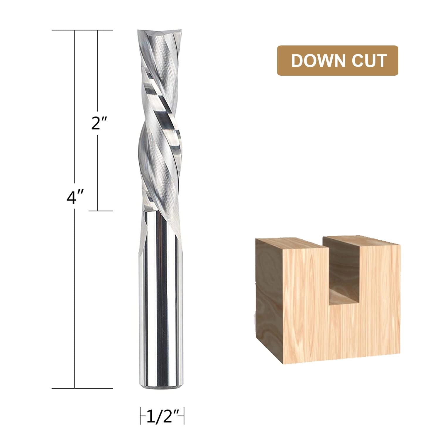 SpeTool Downcut 1/2" Diam 4" Extra Long Router Bit For Wood Carving Plunge Cut