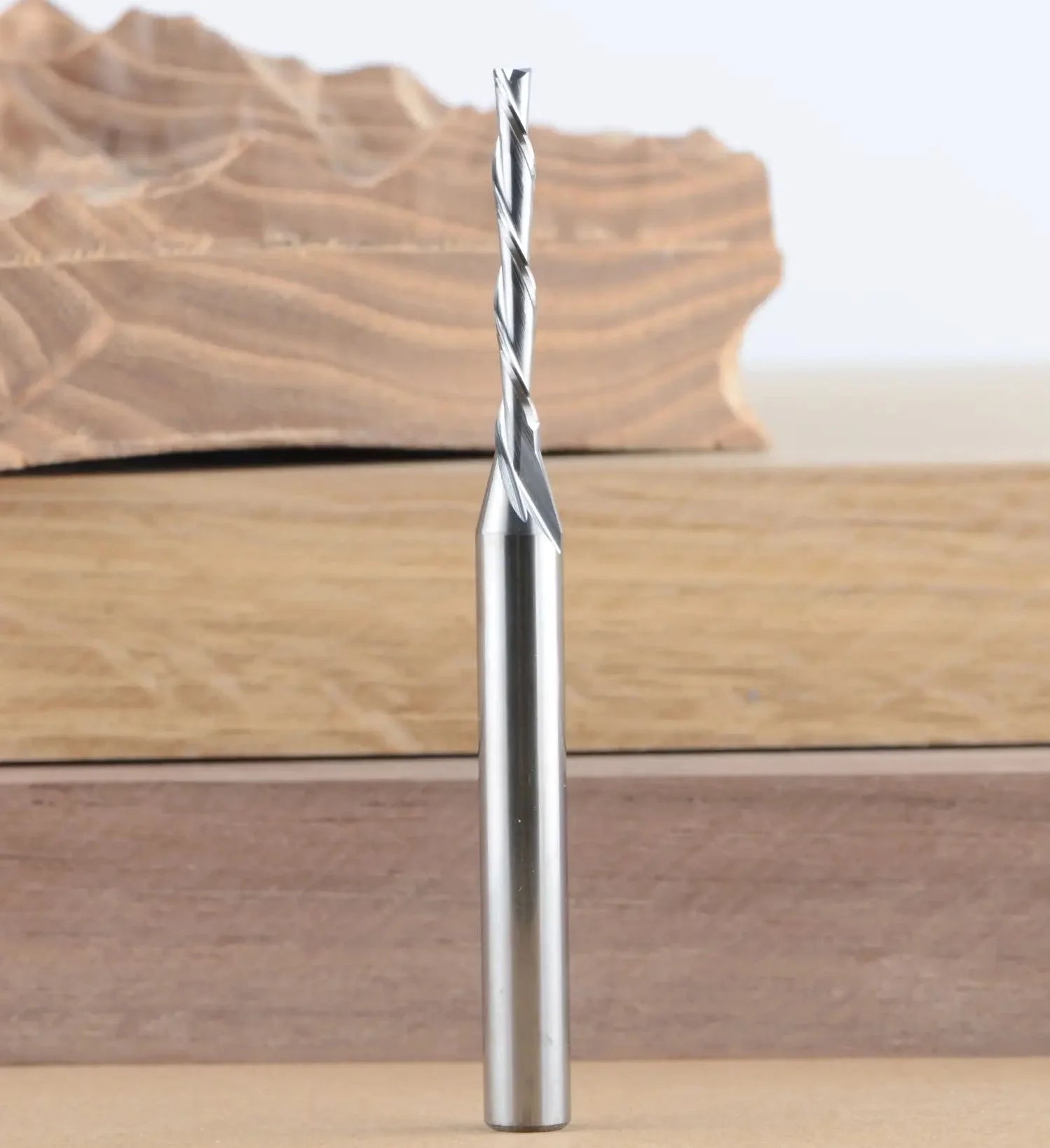 SpeTool Downcut Solid Carbide 1/8 CD 1/4 Shank 3 inch Long Router Bit