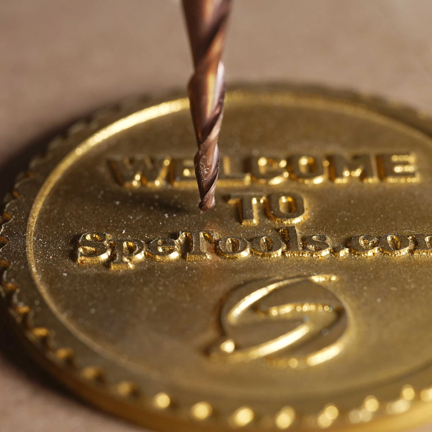 SpeTool H-Si Coated Carving Router Bits Project