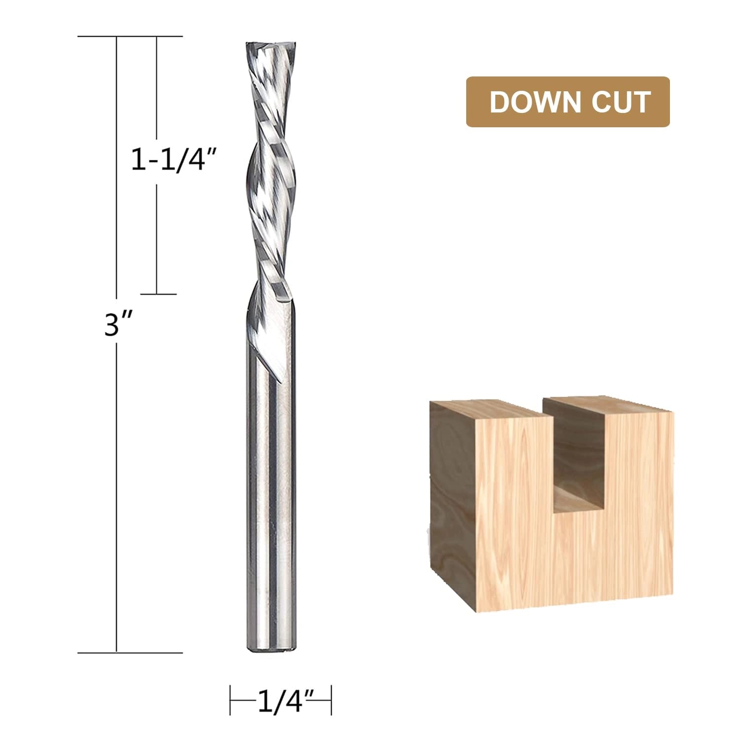 SpeTool  Spiral Down Cut Router Bit Extra Long 1/4" Dia x 3" length