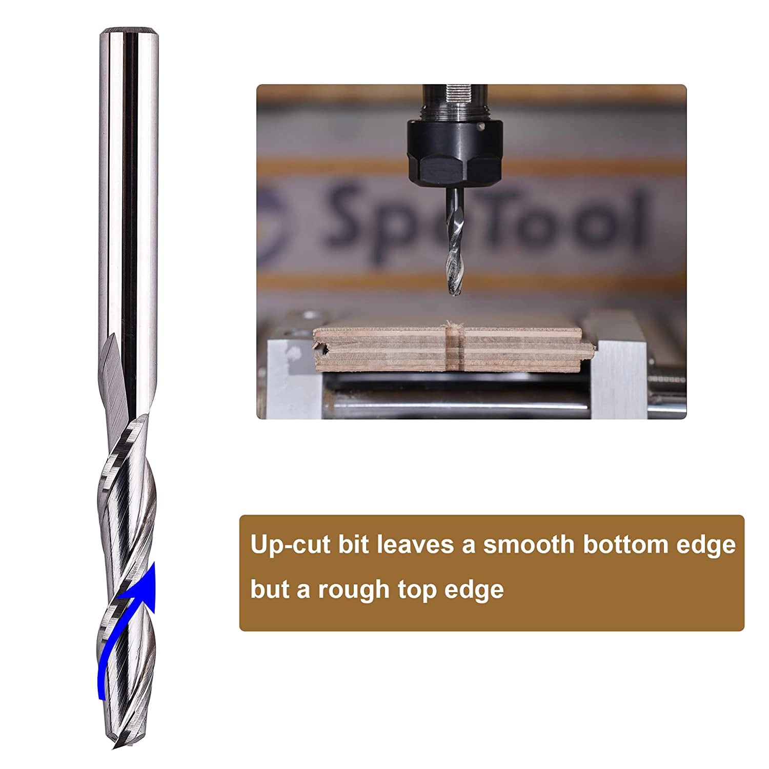 SpeTool Solid Carbide 1/8" Diam 1/8" SHK Up Cut Router Bit for Woodworking